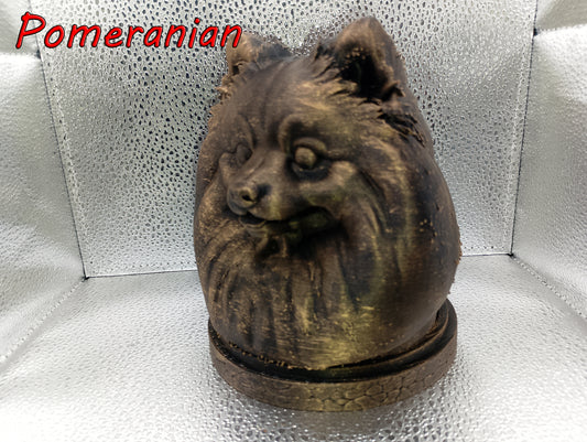 Pomeranian Bust