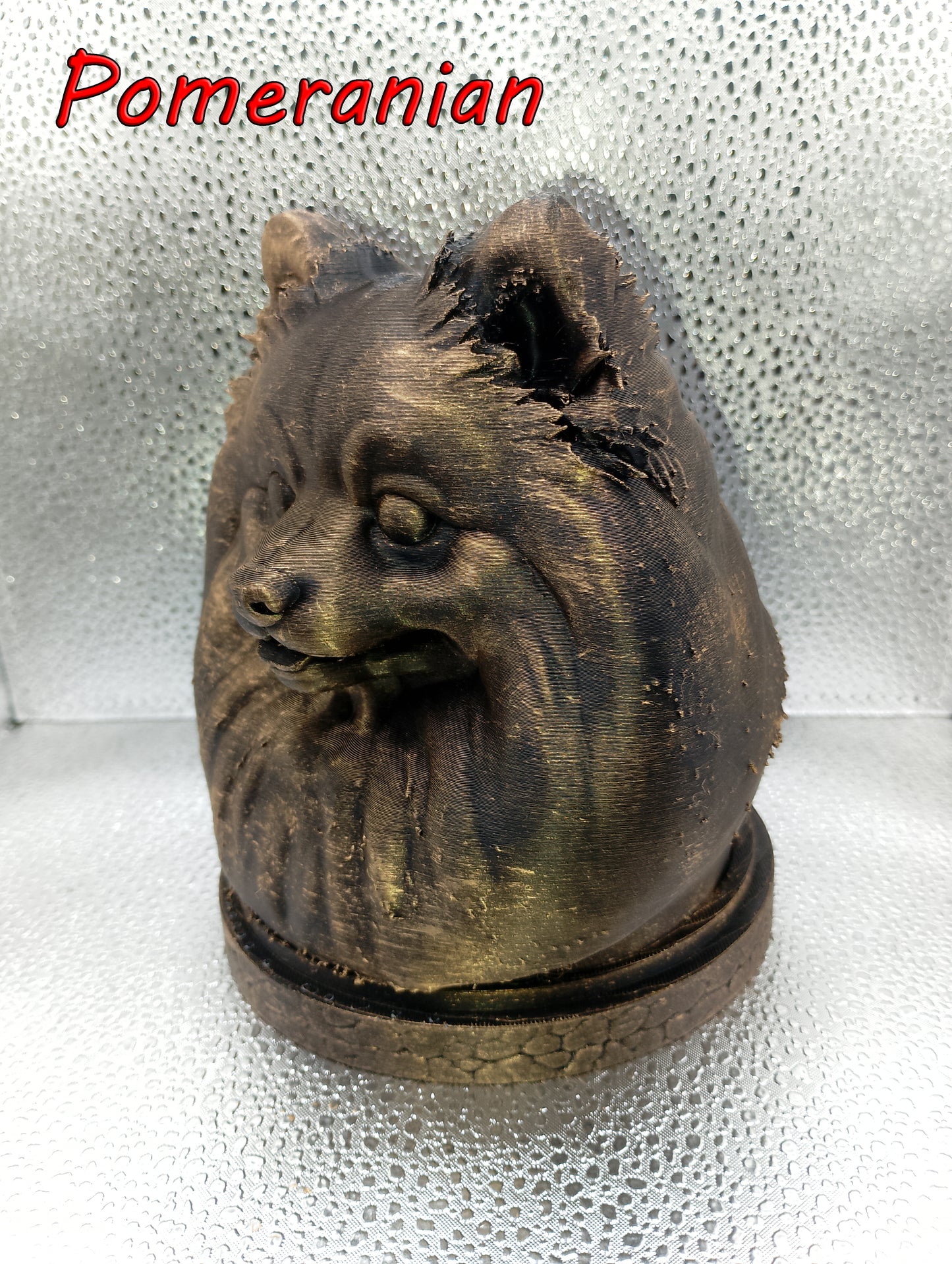 Pomeranian Bust