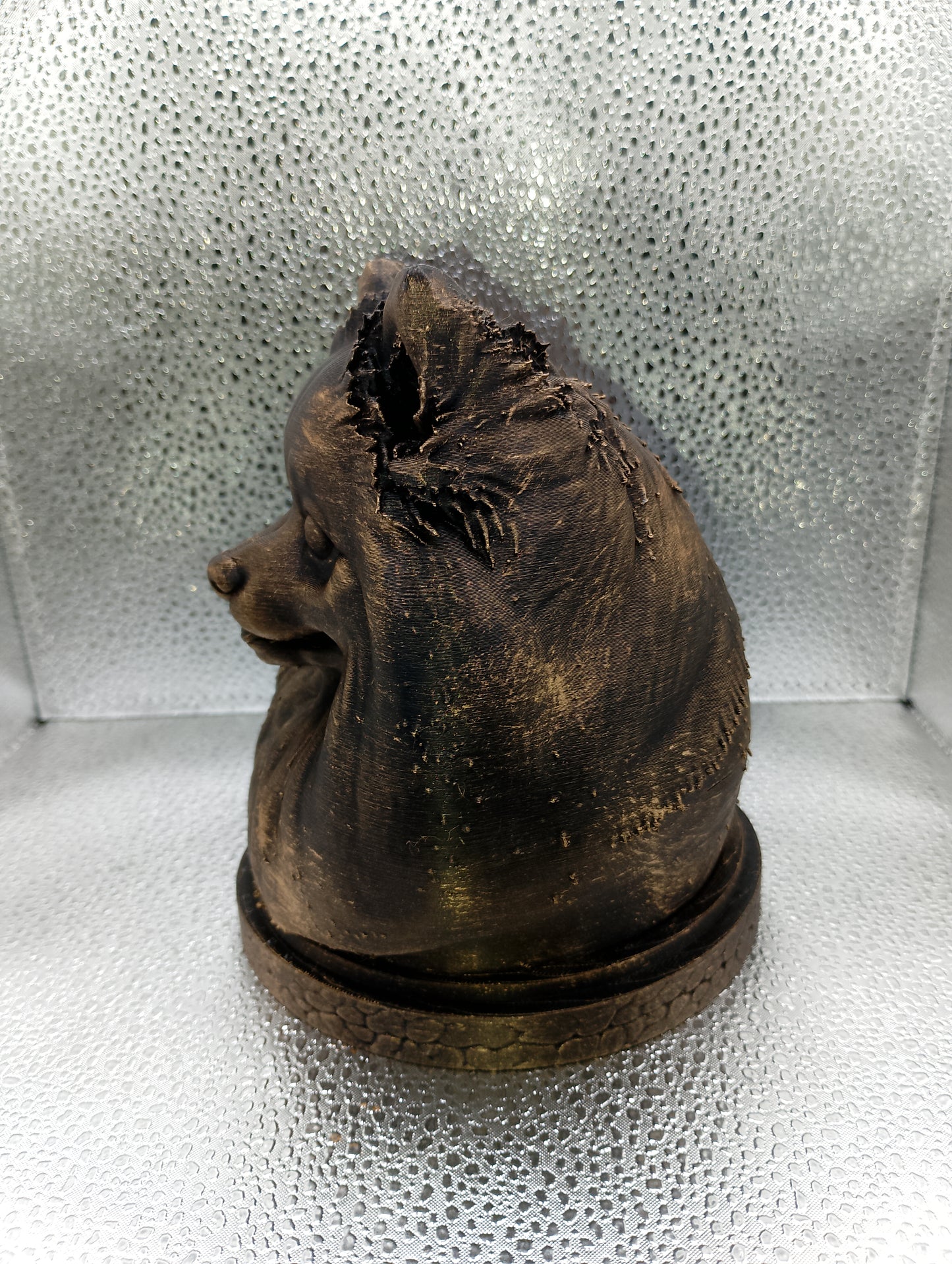 Pomeranian Bust