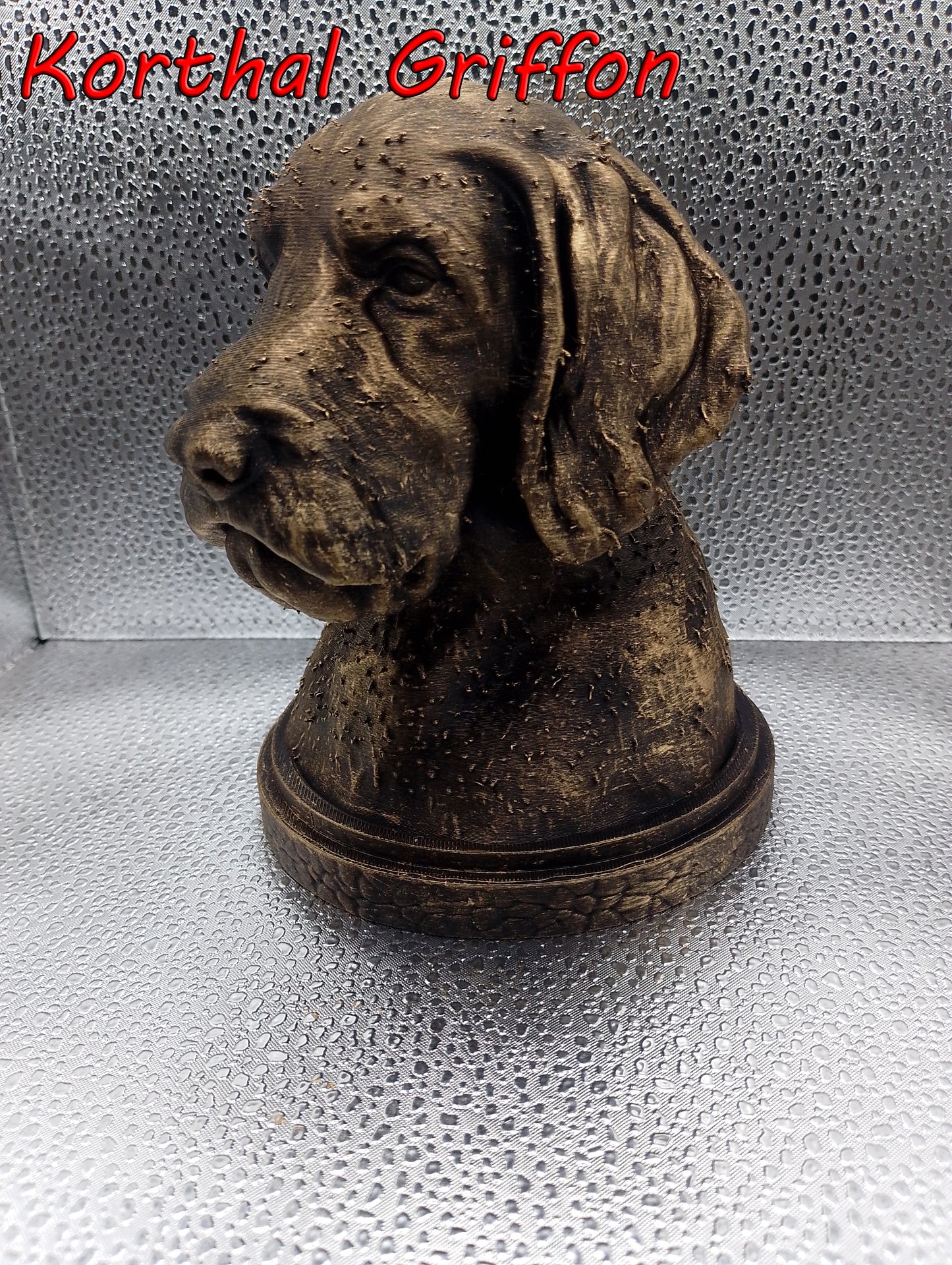 Korthals Griffon Bust