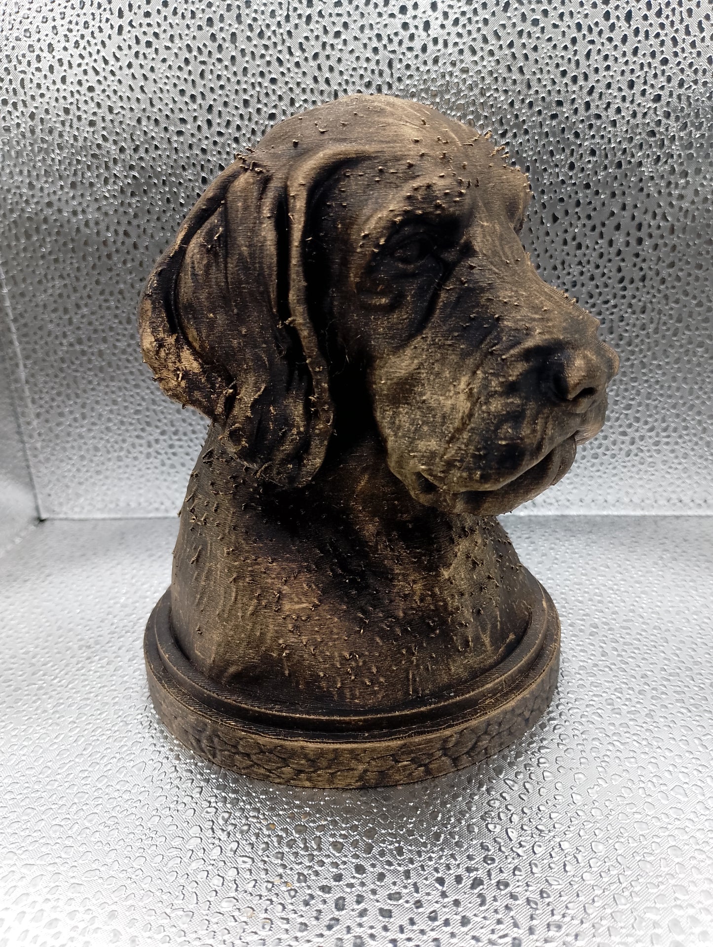 Korthals Griffon Bust