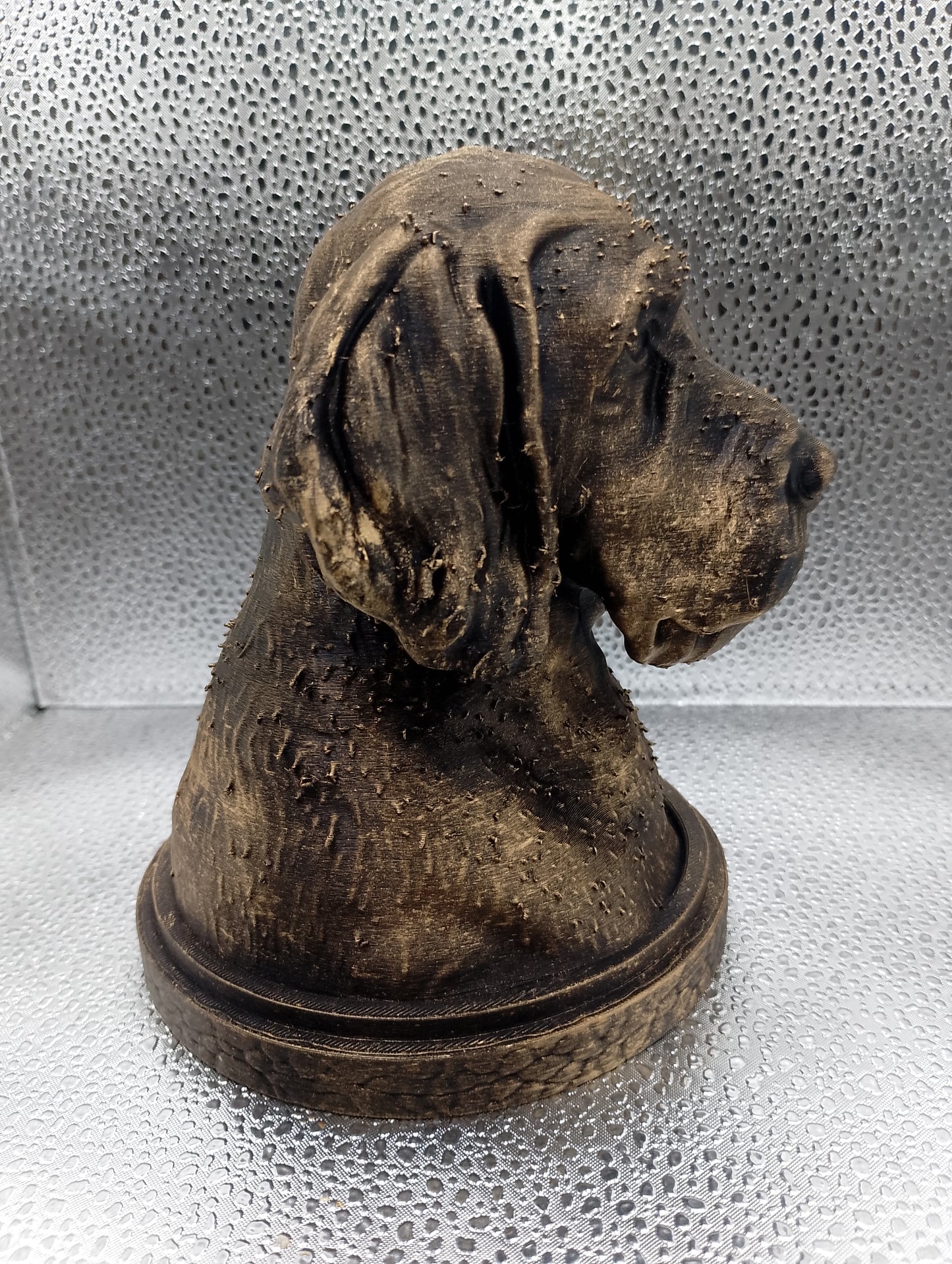 Korthals Griffon Bust