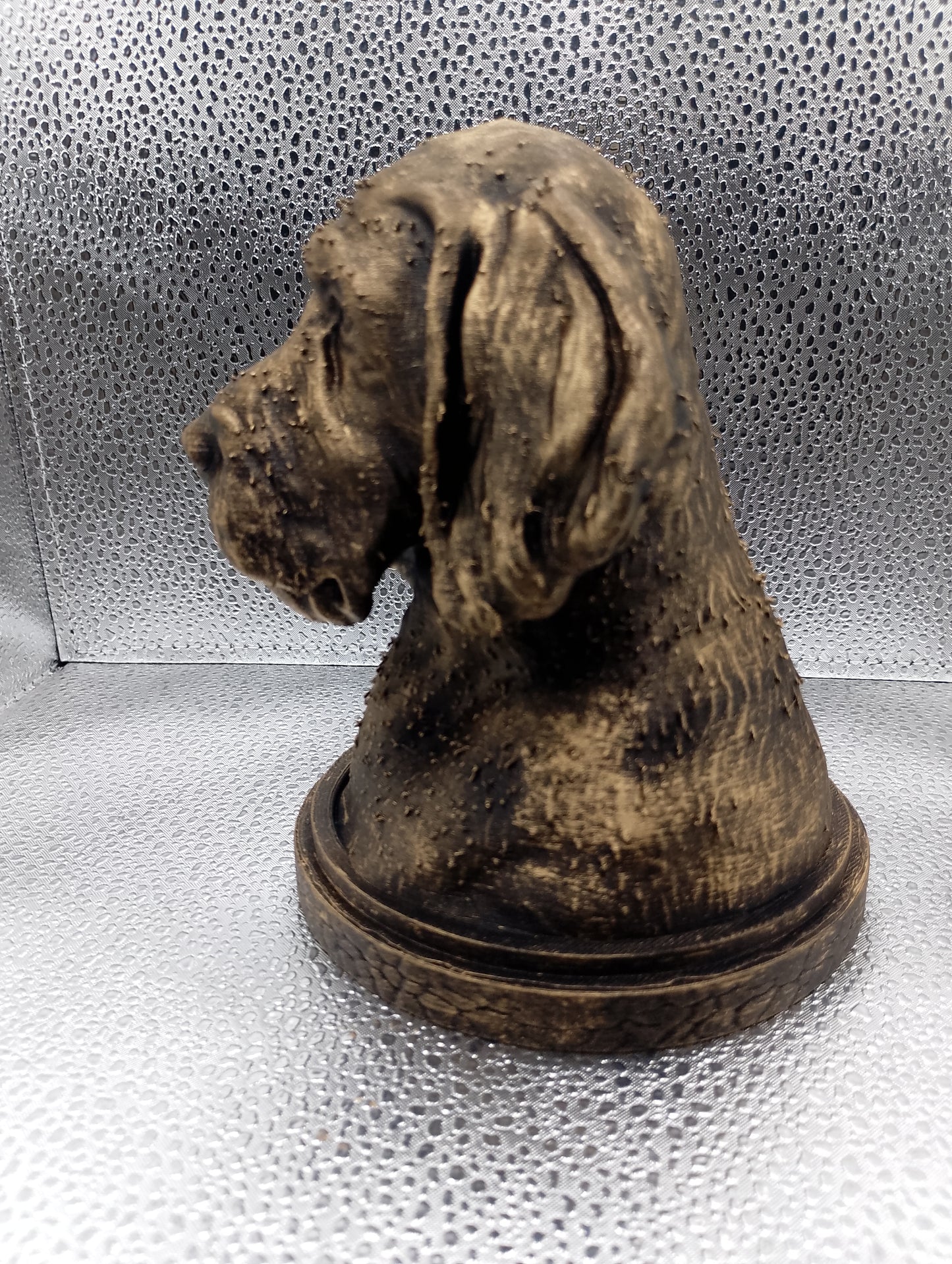 Korthals Griffon Bust