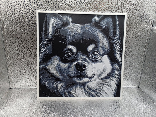 Pomeranian - Hueforge