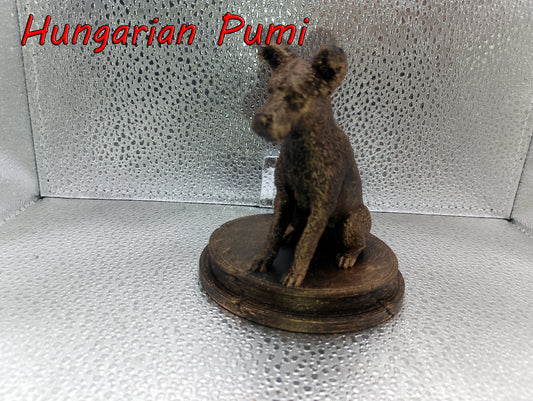 Hungarian Pumi Dog Bust – 7cm Miniature Statue