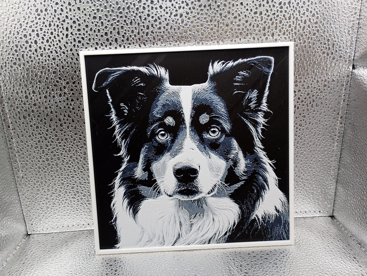 Australian Shepherd - Hueforge