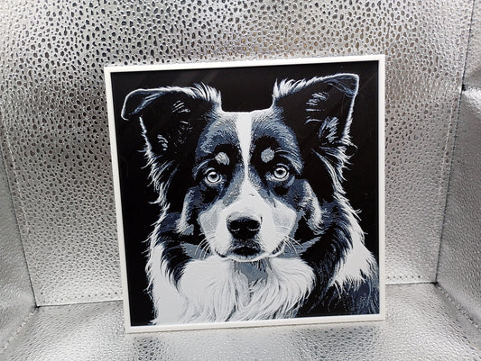Australian Shepherd - Hueforge