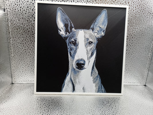 Podenco - Hueforge
