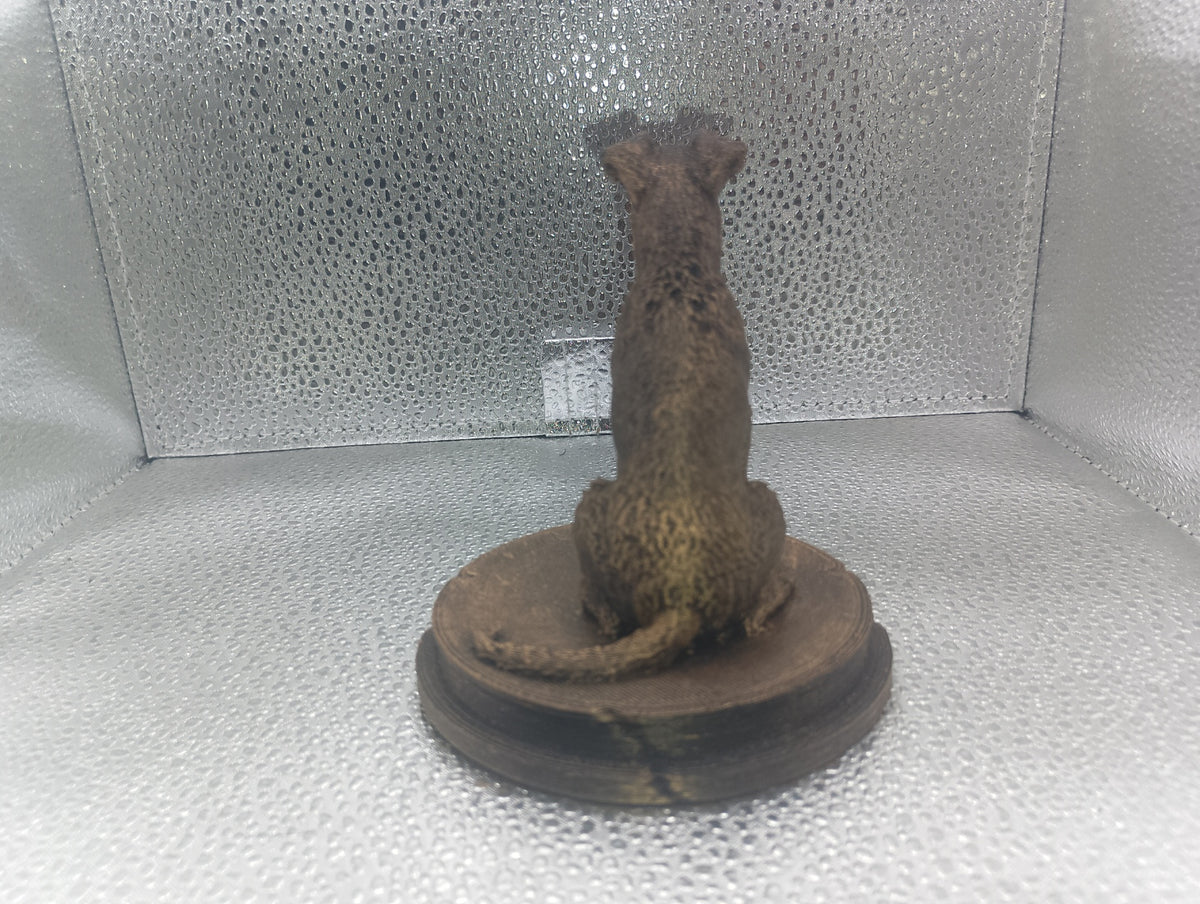 Fox Terrier Bust – 7cm Miniature Statue