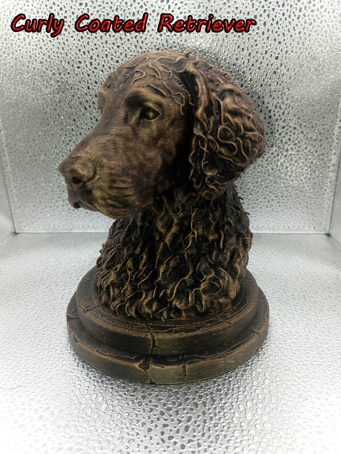 Curly Coated Retriever Bust