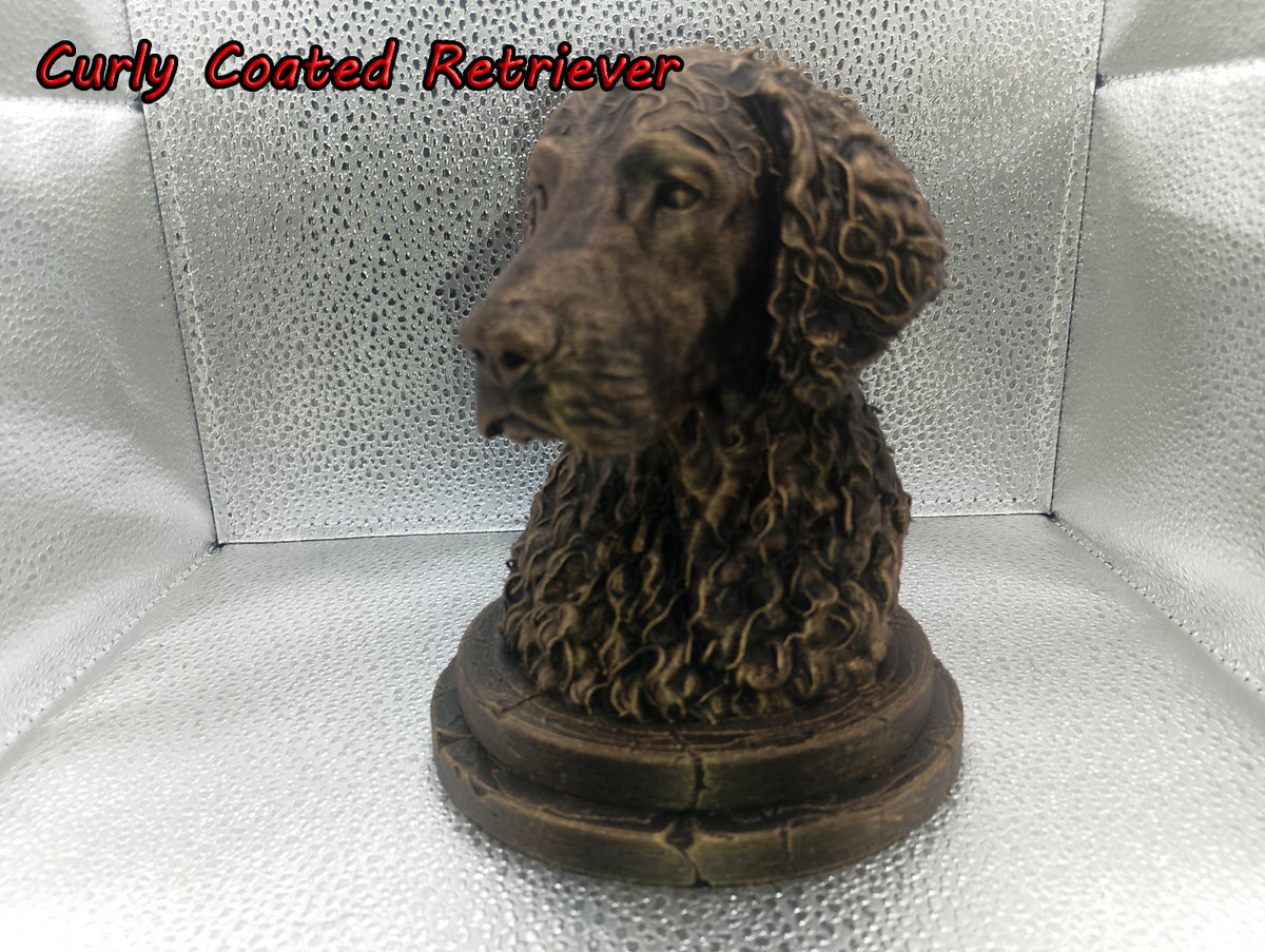 Curly Coated Retriever Bust