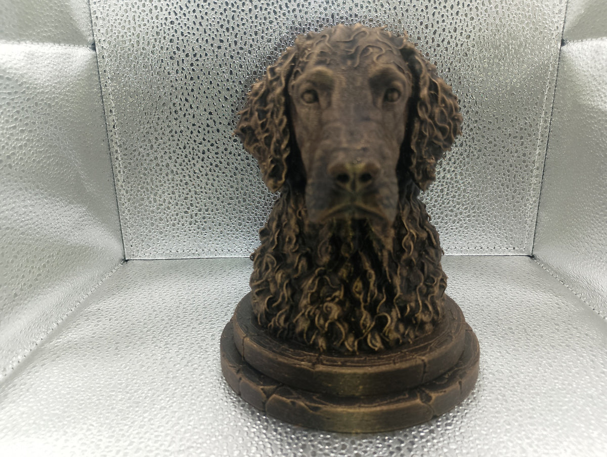 Curly Coated Retriever Bust
