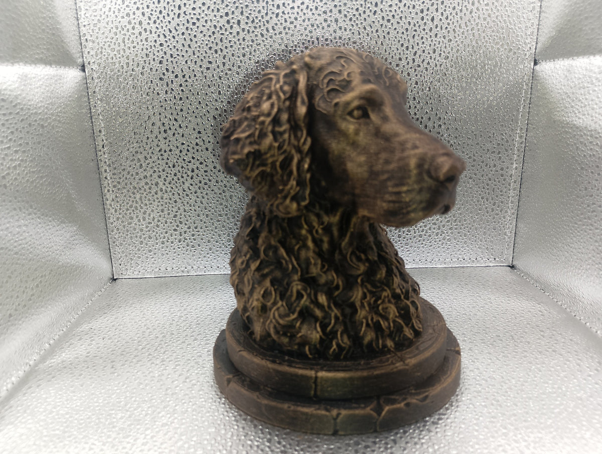 Curly Coated Retriever Bust