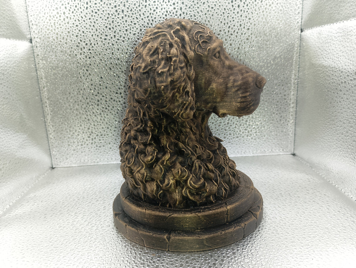 Curly Coated Retriever Bust