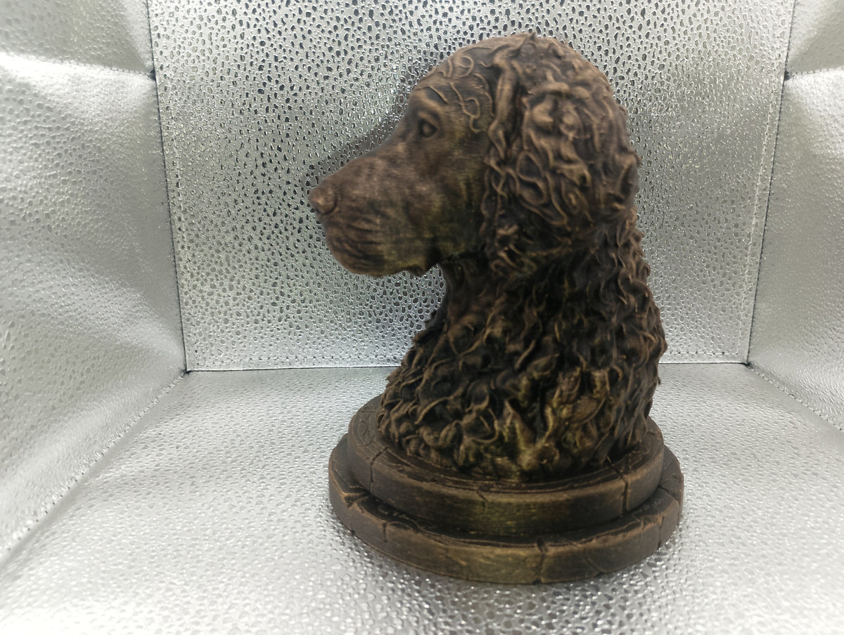 Curly Coated Retriever Bust