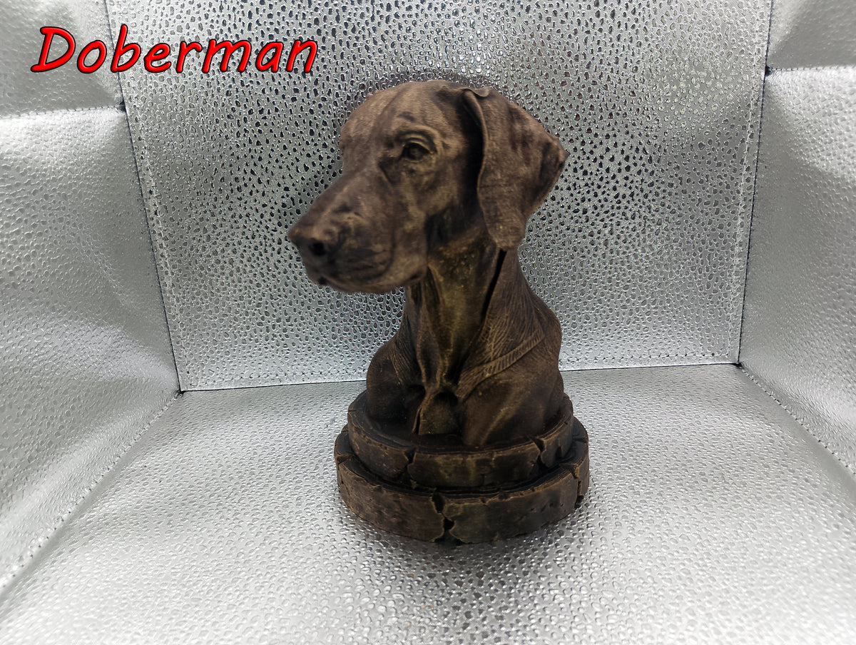 Doberman Bust