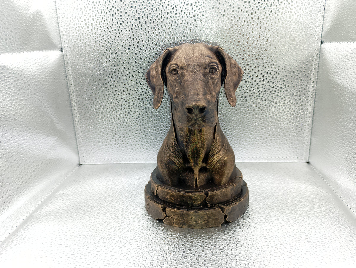 Doberman Bust