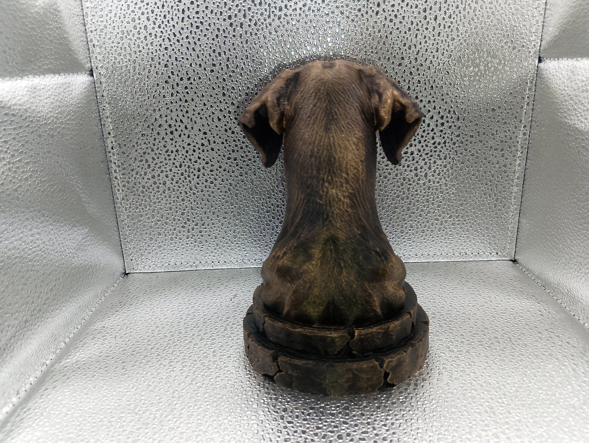 Doberman Bust