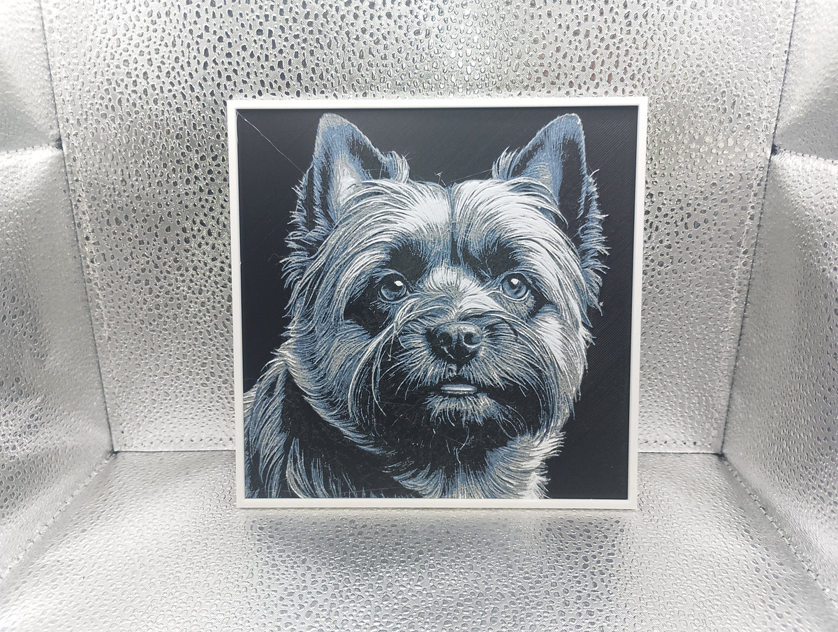 Cairn Terrier - Hueforge