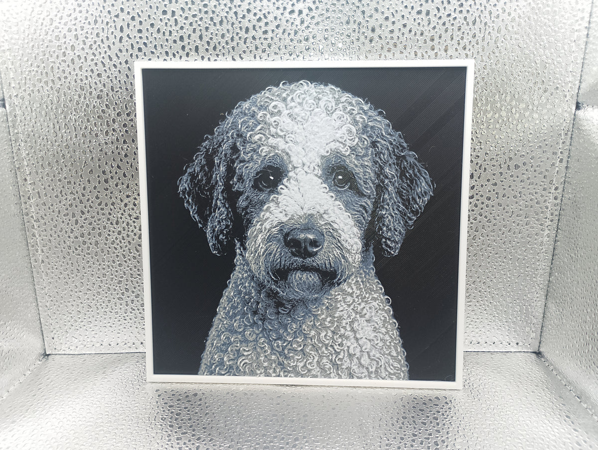 Lagotto Romagnolo - Hueforge