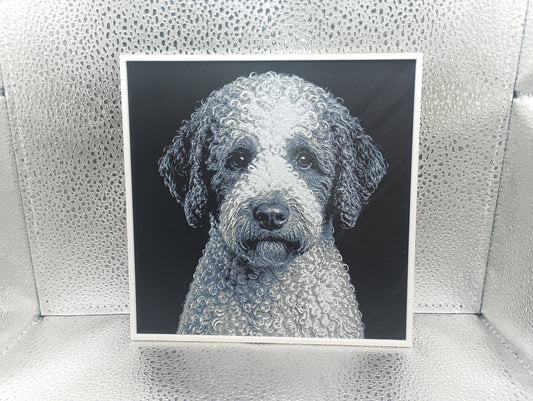 Lagotto Romagnolo - Hueforge