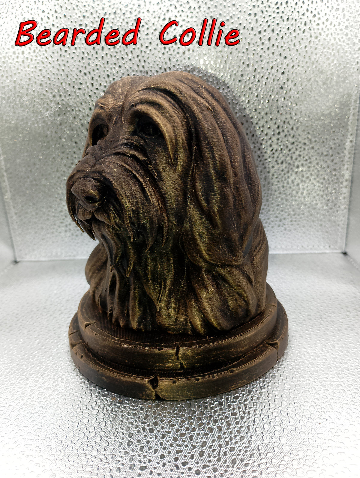 Bearded Collie Bust