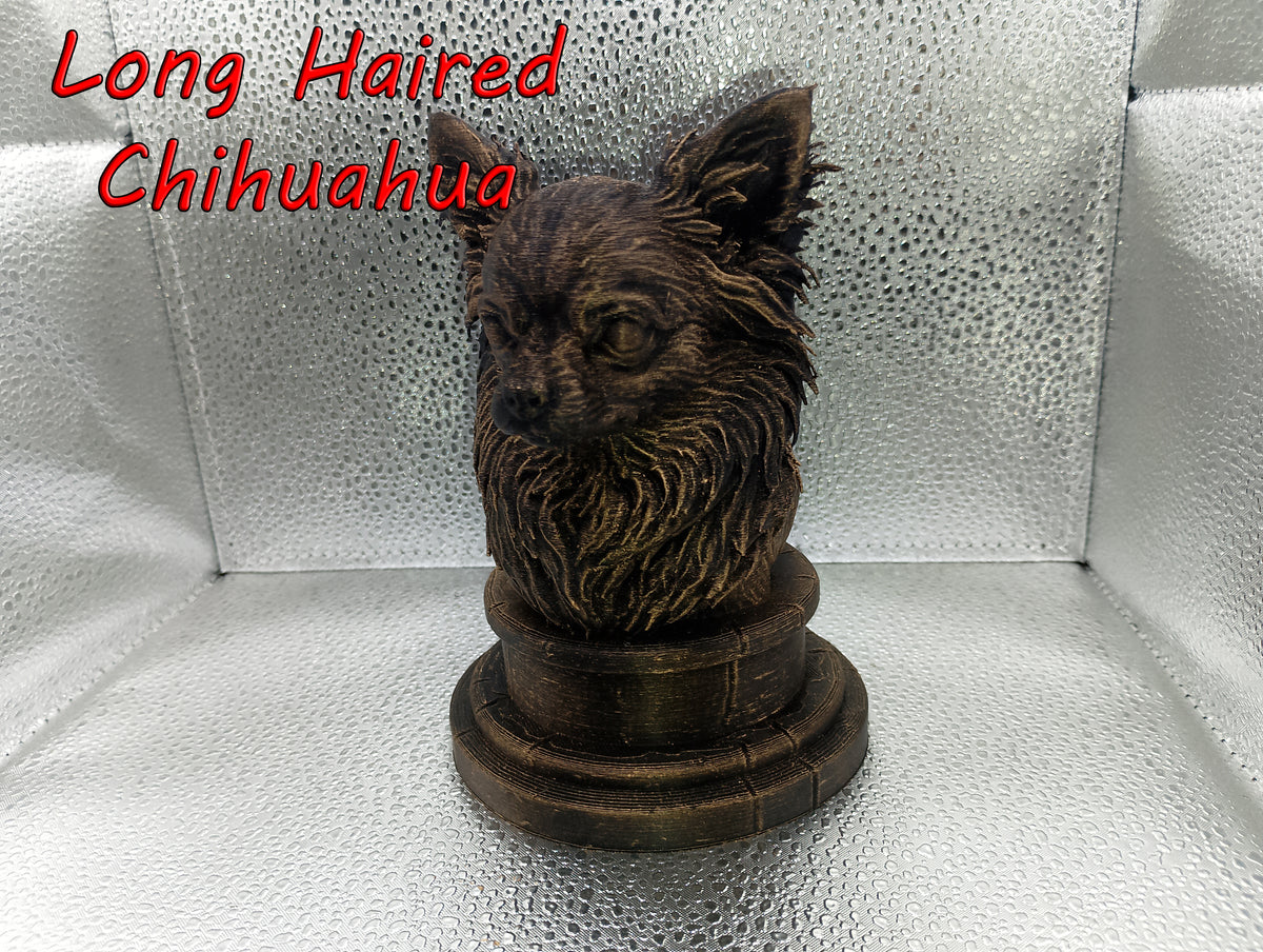 Long Haired Chihuahua Bust