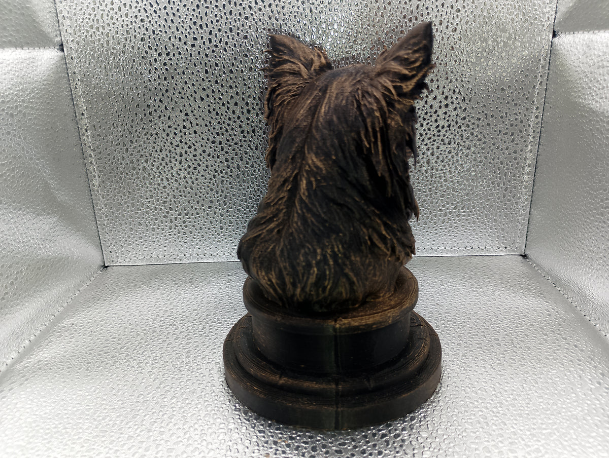 Long Haired Chihuahua Bust