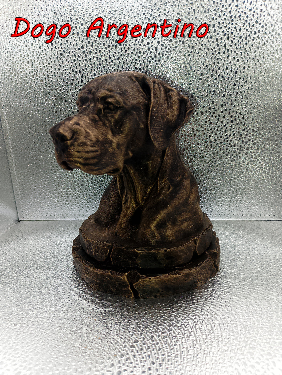 Dogo Argentino Bust