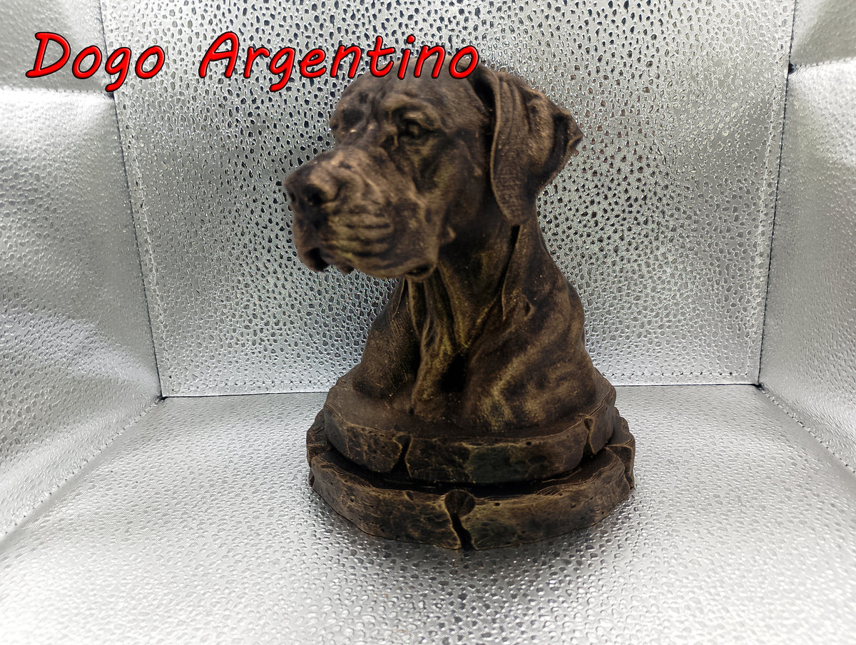 Dogo Argentino Bust