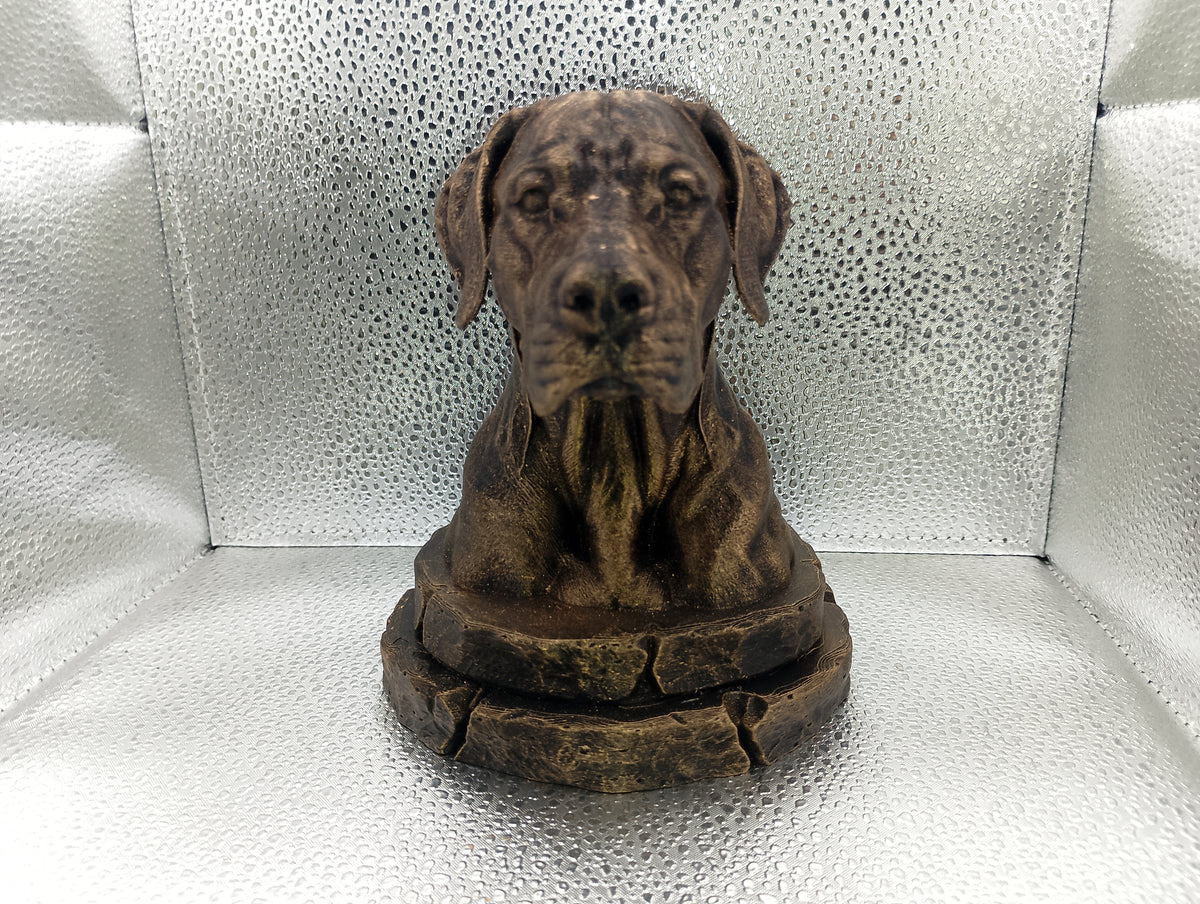 Dogo Argentino Bust