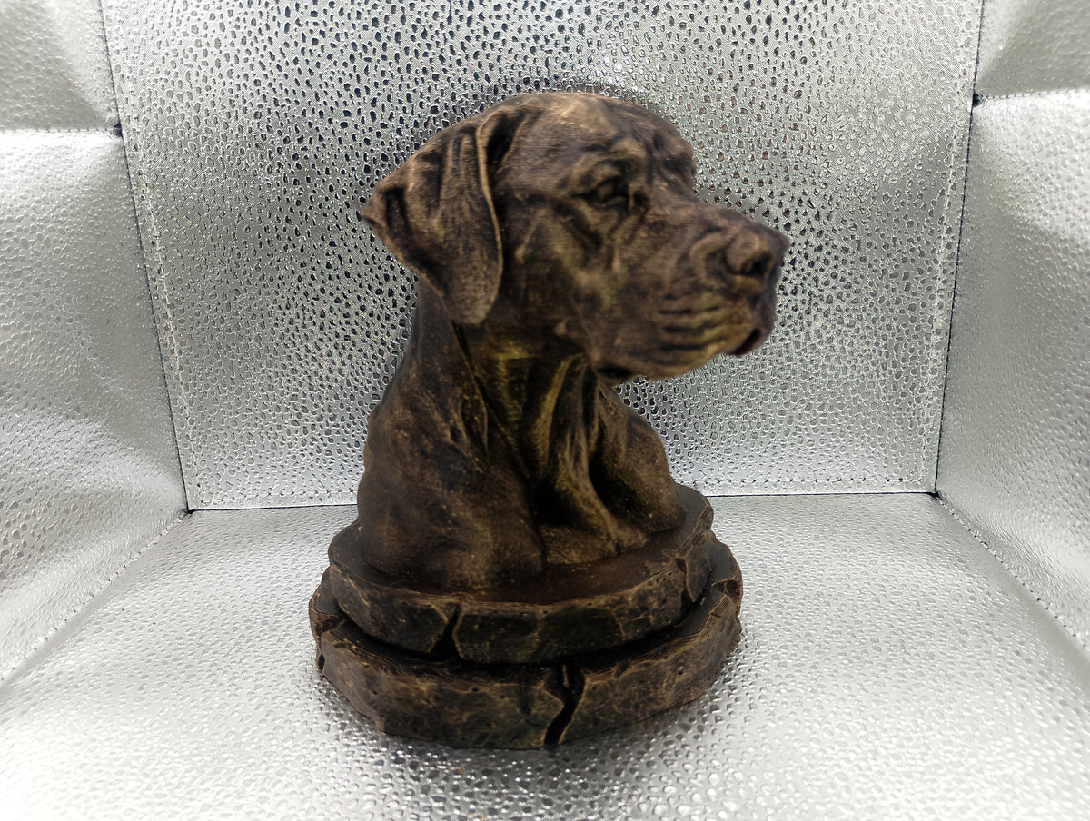 Dogo Argentino Bust