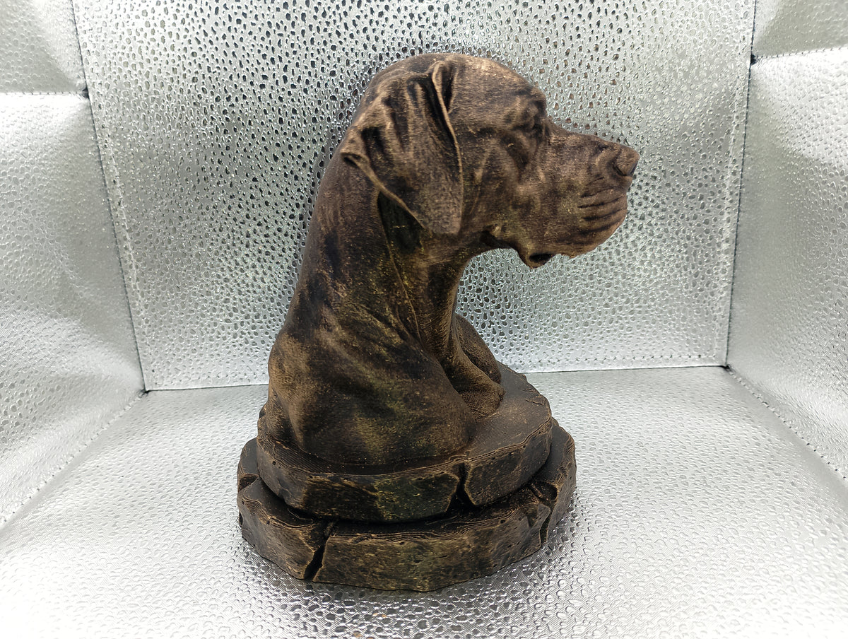 Dogo Argentino Bust
