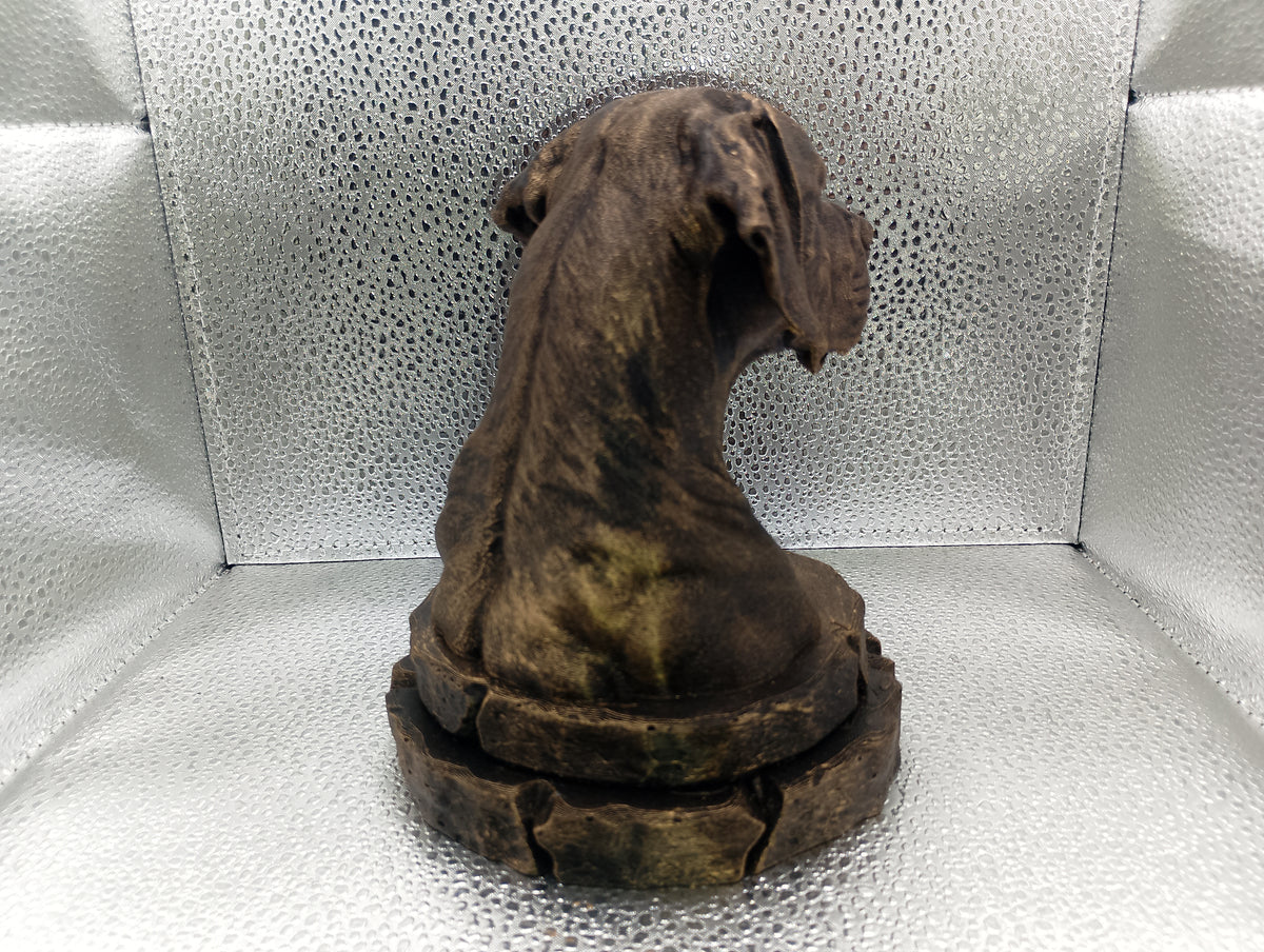 Dogo Argentino Bust