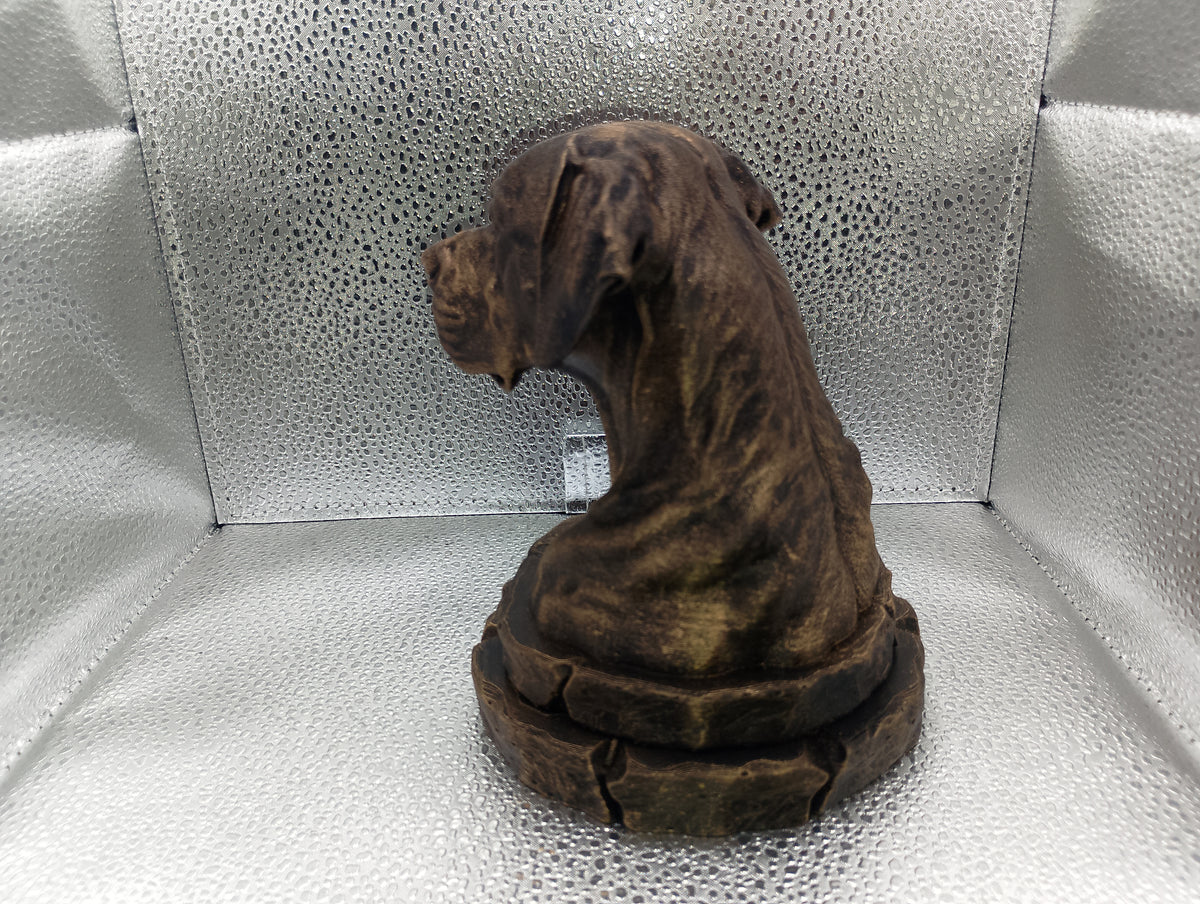 Dogo Argentino Bust