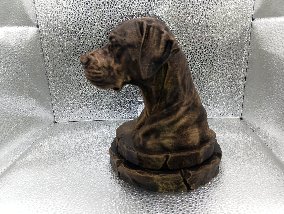Dogo Argentino Bust