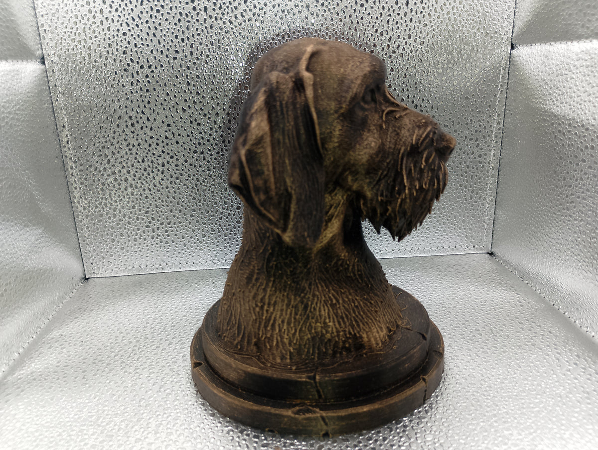 German Wirehaired Pointer Bust