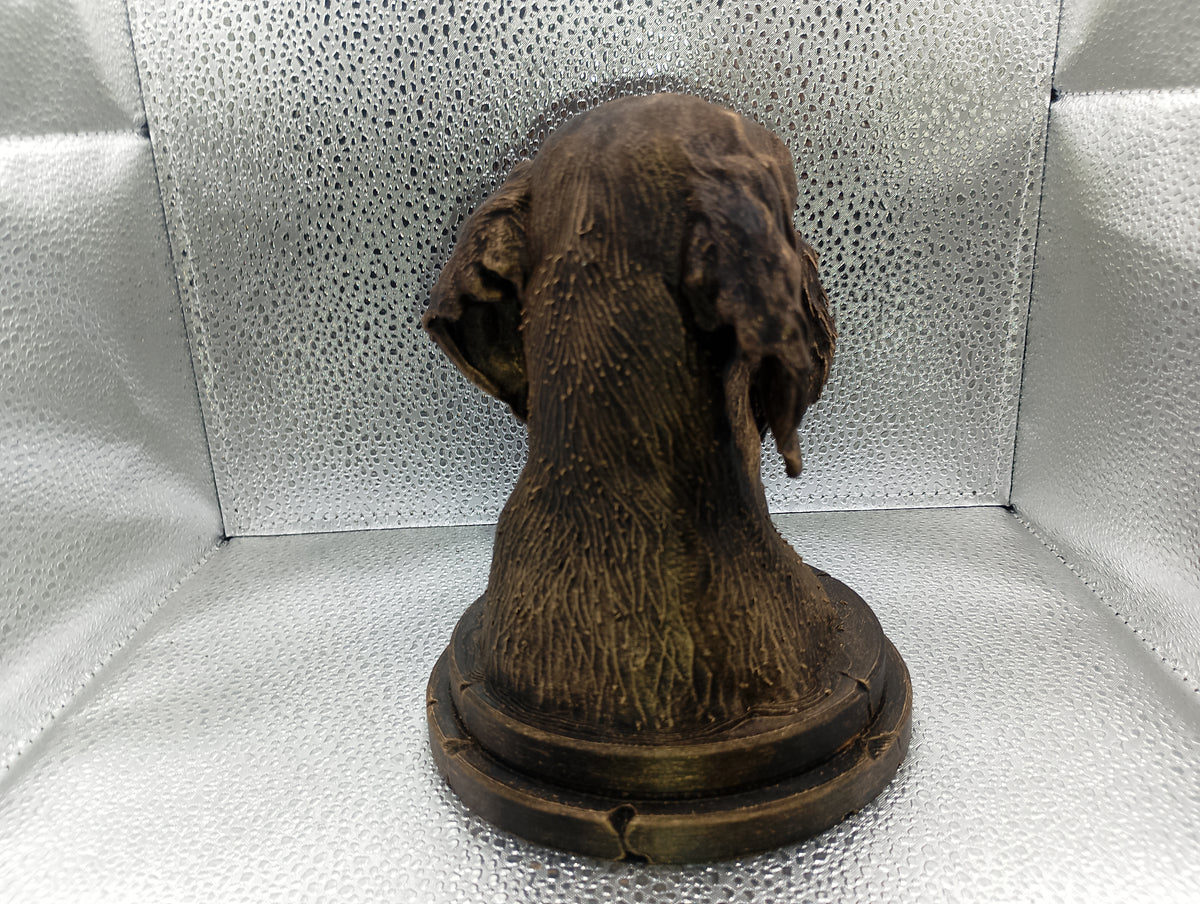 German Wirehaired Pointer Bust