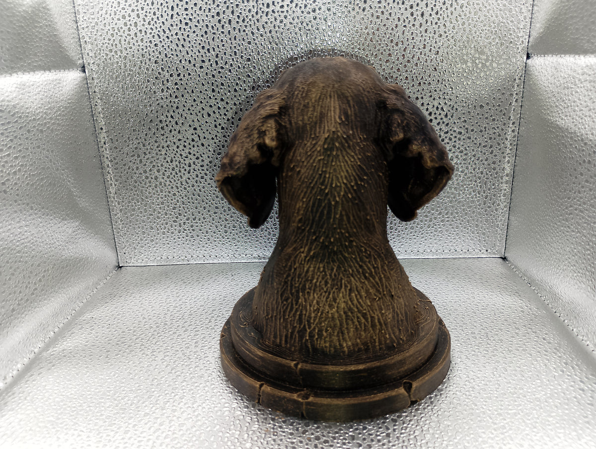 German Wirehaired Pointer Bust