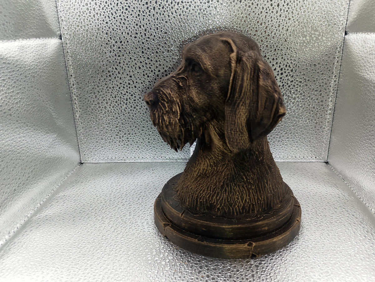 German Wirehaired Pointer Bust