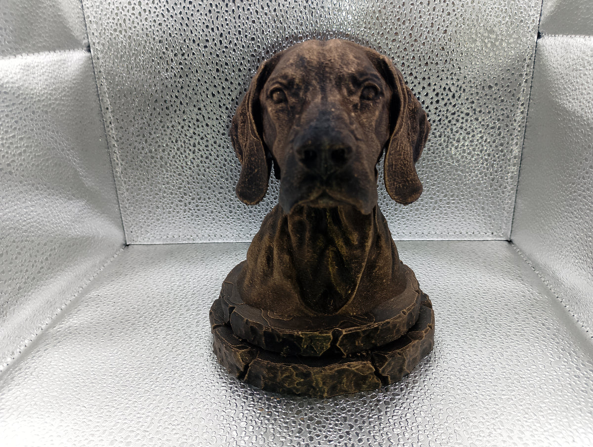 German Shorthaired Pointer Bust