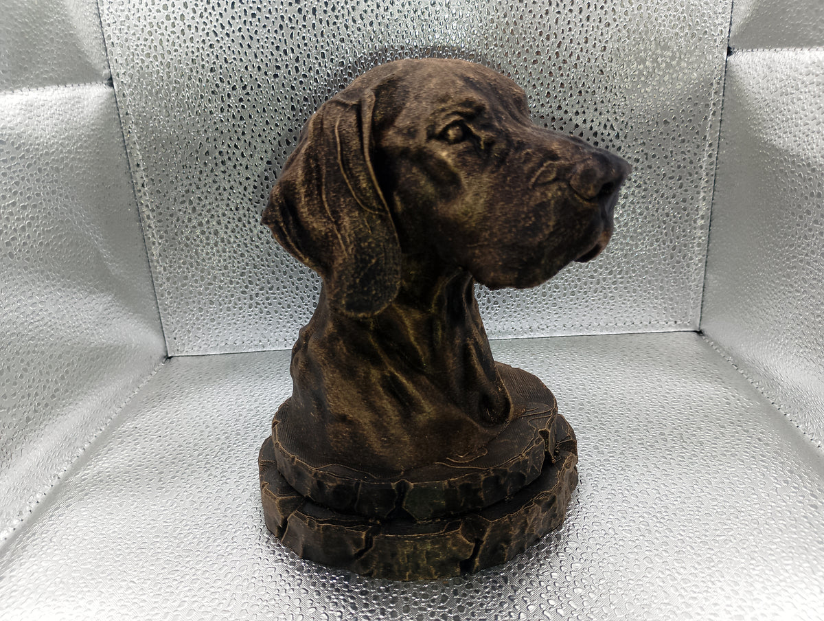 German Shorthaired Pointer Bust