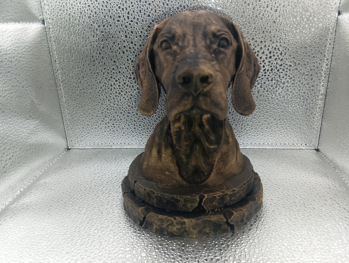 Pointer Bust