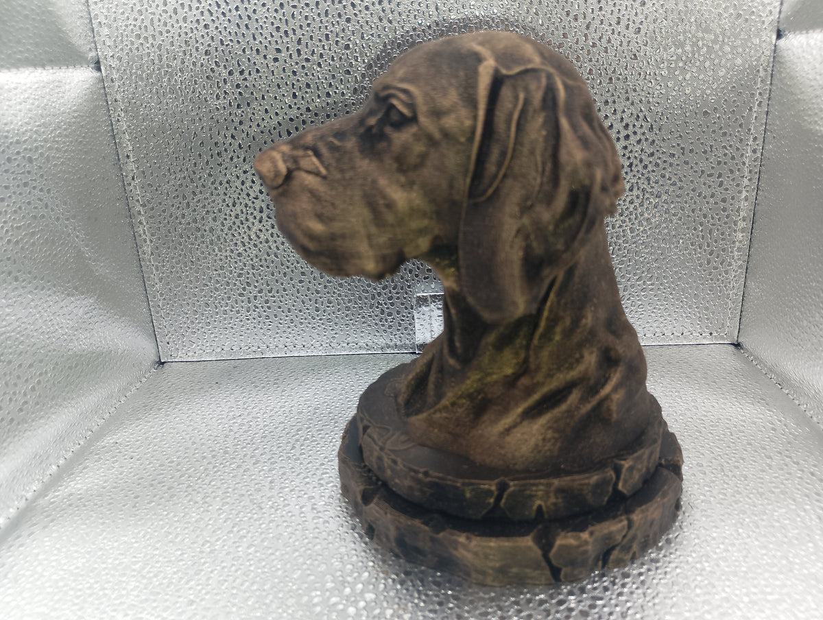 Pointer Bust