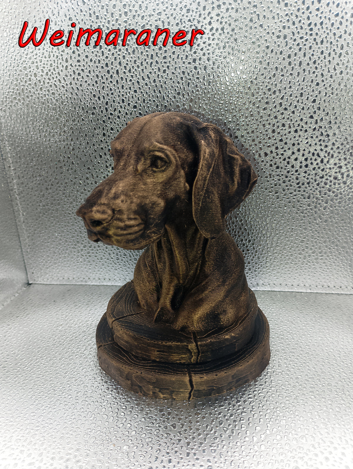 Weimaraner Bust