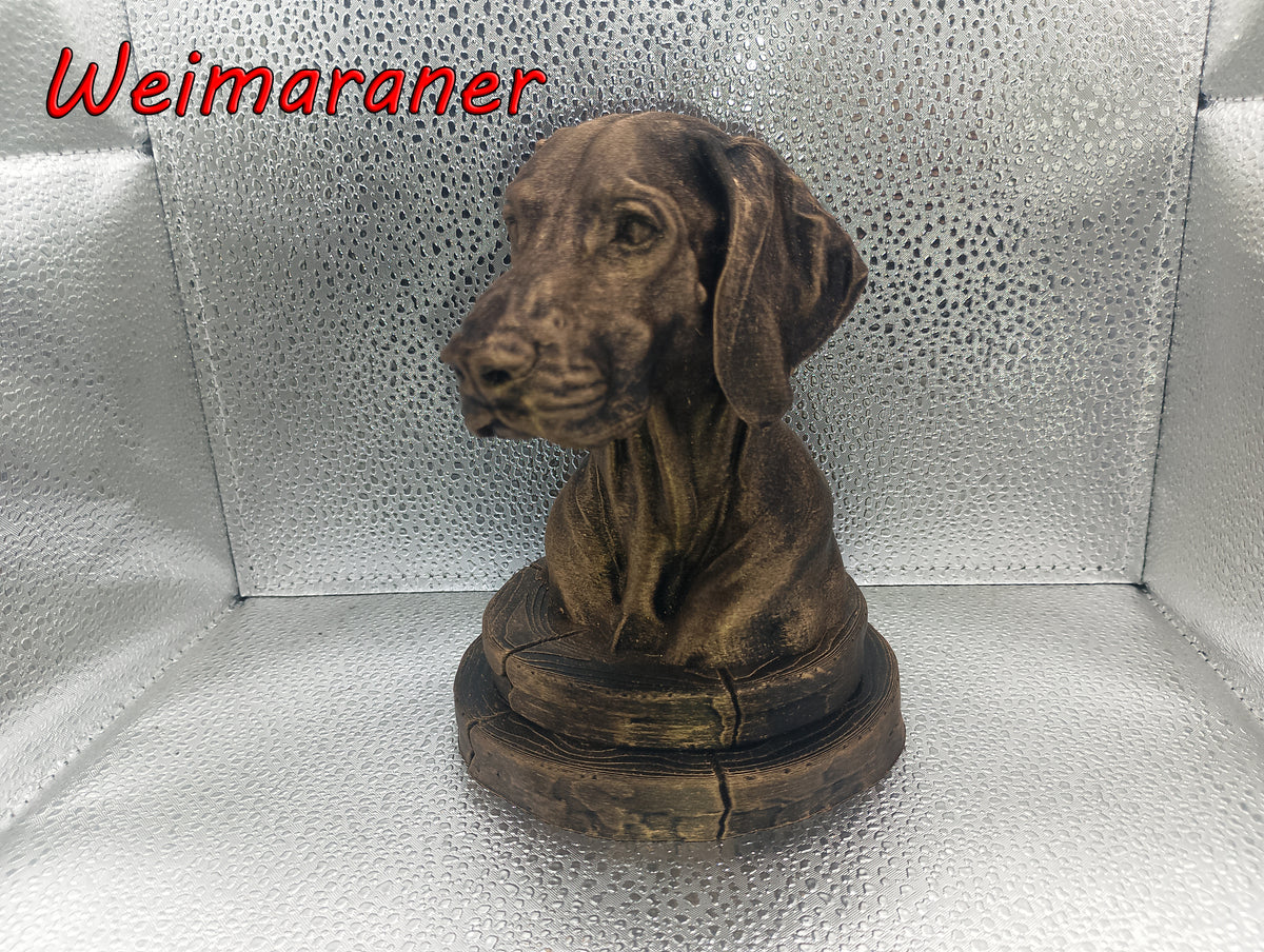 Weimaraner Bust
