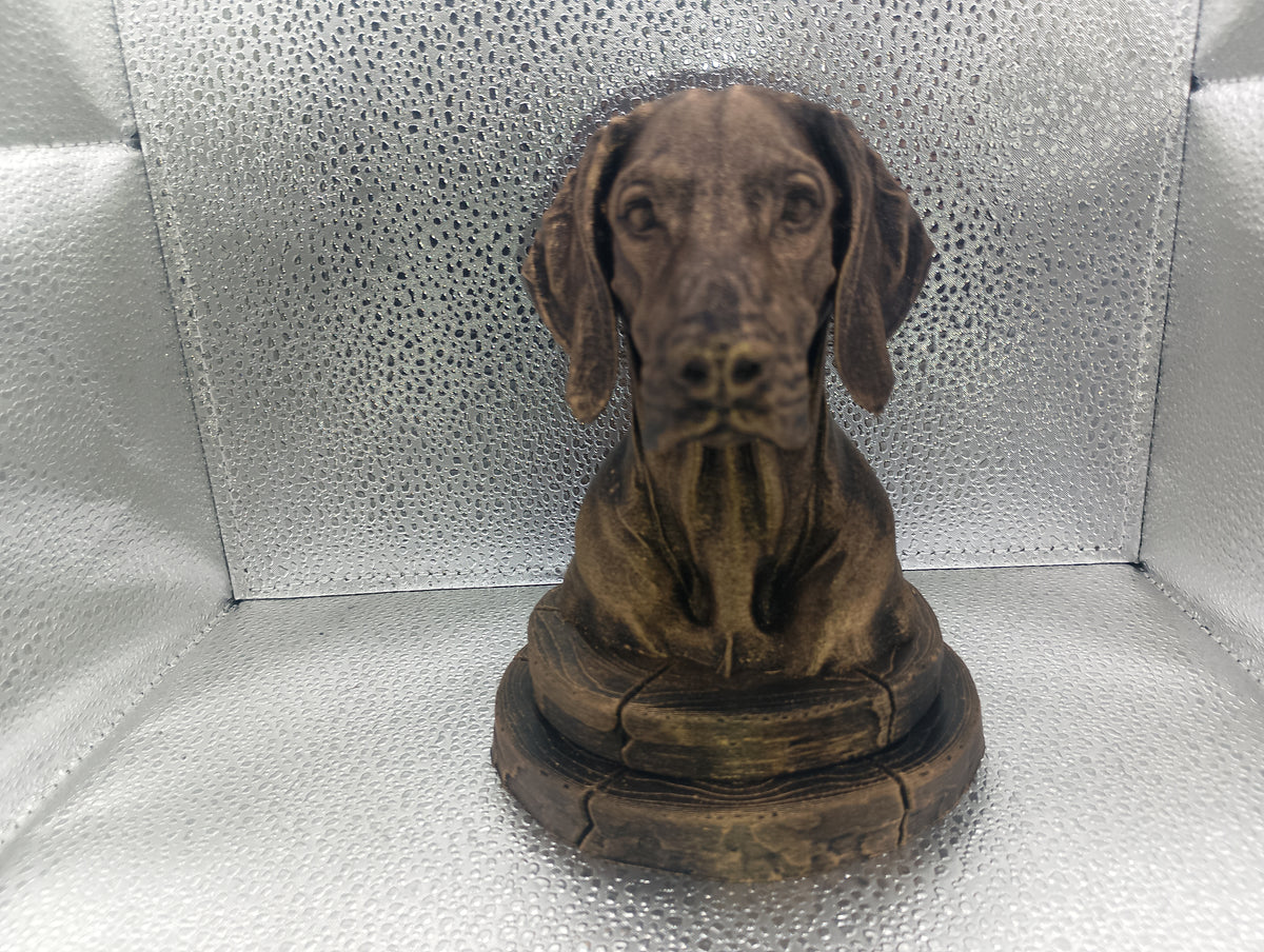Weimaraner Bust