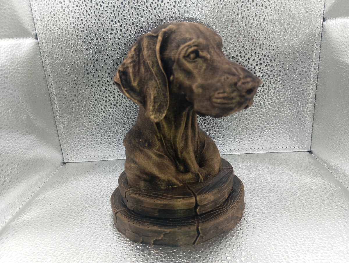 Weimaraner Bust