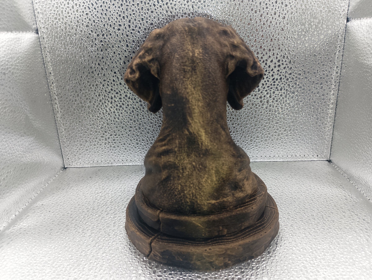 Weimaraner Bust