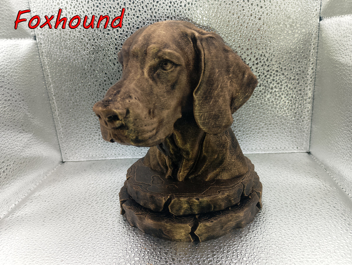 Foxhound Bust